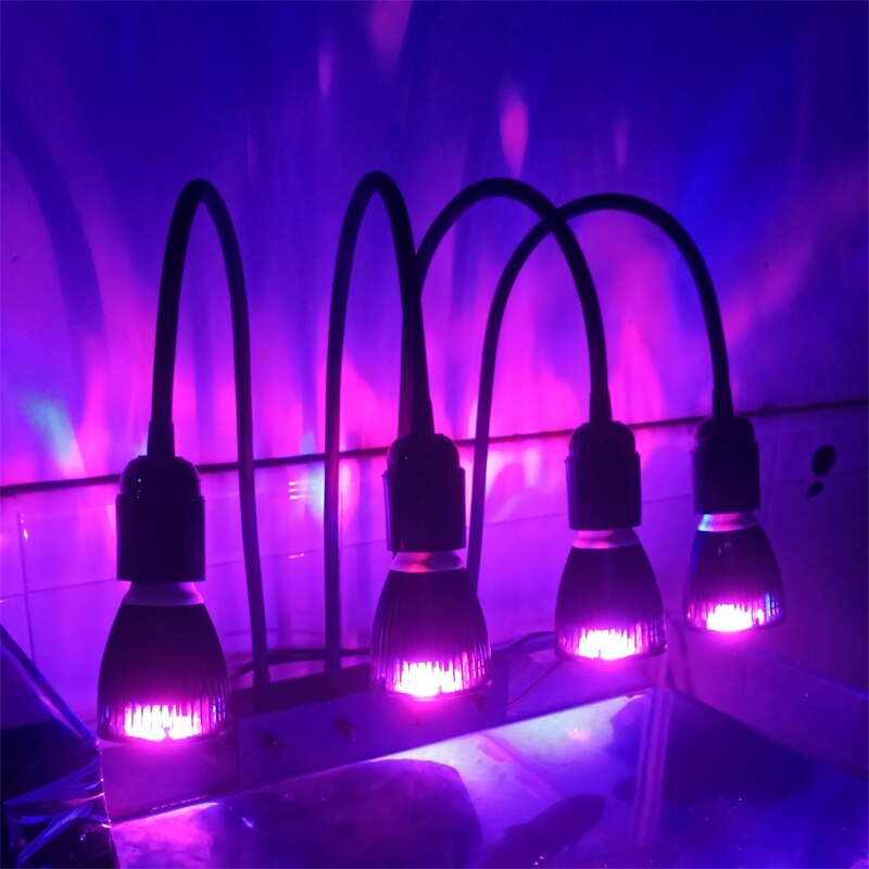 풀 스펙트럼 led 식물 재배 실내 상자 조류용, 조명 수족관 램프